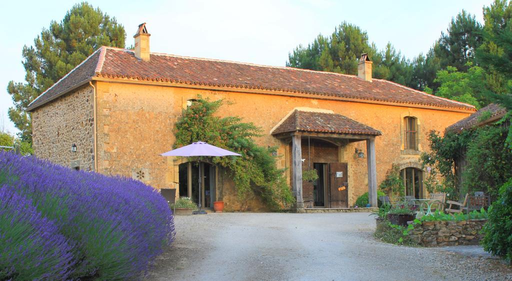 Chambres D'Hotes Leone Haute Saint-Avit-Rivière Buitenkant foto